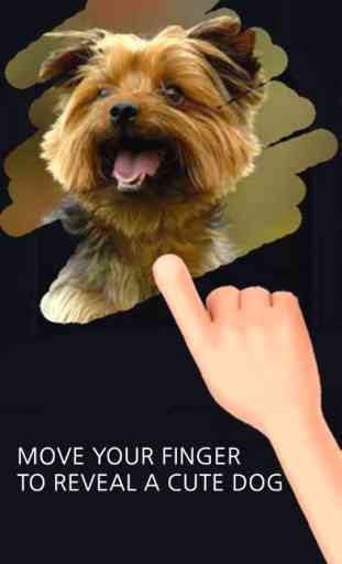 A Dog game to scratch Hidden Pics - Mini game for Kids - Playing cool breed games - animal best dogs pics 1