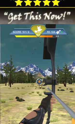 Bow And Arrow Champion - Archery Master Game 1