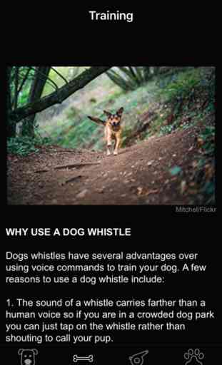 Dog Whistle & Training - Free Sound Trainer App 2