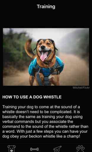 Dog Whistle & Training - Free Sound Trainer App 4
