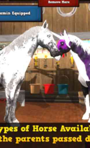 Horse Academy 3D 2