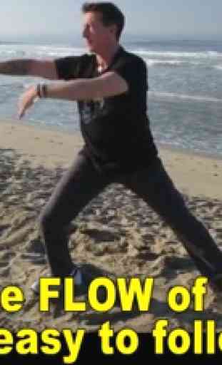 Tai Chi Fit FLOW 4