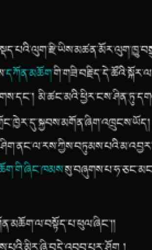 Tibetan Bible 4