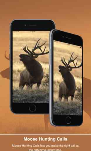 Elk Calls: Hunting Calls 1