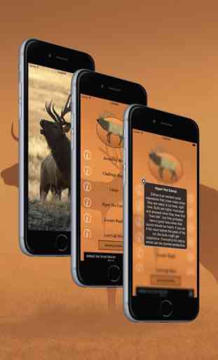 Elk Calls: Hunting Calls 4
