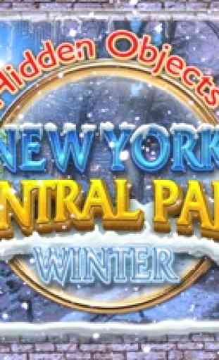 Hidden Objects New York - Central Park Winter 1