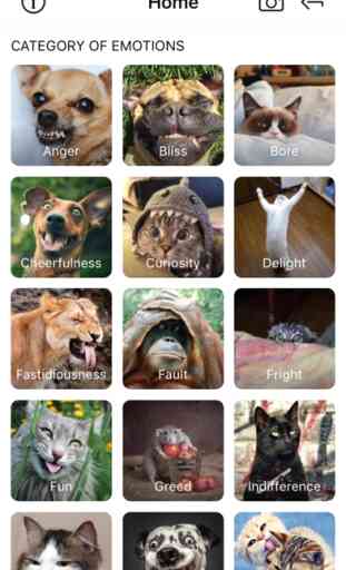 WildEmotions: add text to photos with animal cards 1
