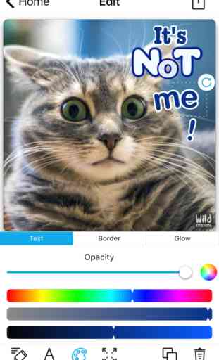WildEmotions: add text to photos with animal cards 4
