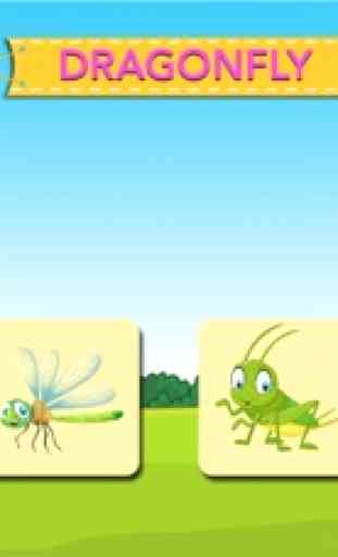 Learn about Insects 4