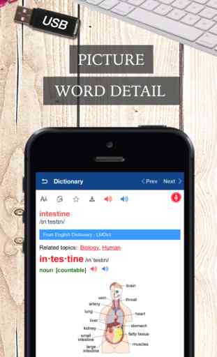 LMDict - English Dictionary 3