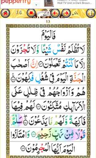 Surah Yaseen with Sound 3