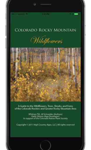 Colorado Rocky Mountain Wildflowers 1