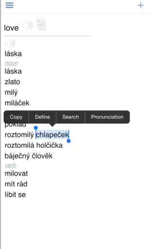 Czech Dictionary + 3