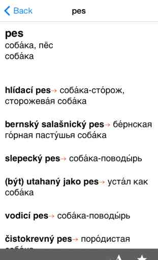 Czech-Russian dictionary 3