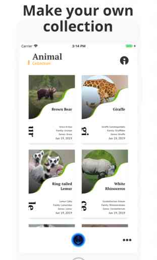 Animal Identifier. 3
