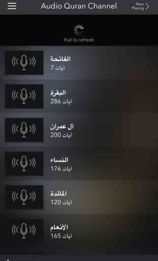 Audio Quran Channel 4