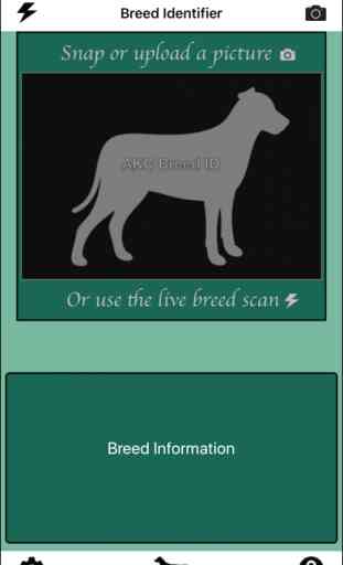 Dog Breed Identifier 1