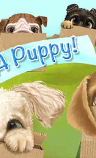 Dog In The Box - Adopt Cute Puppy Dogs - Interactive Animal Care Kids Game 1