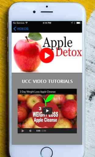 Easy Natural 7 Day Apple Detox Diet Guide & Tips - Best Healthy Weight Loss & Fast Body Cleanse Detoxification Plan For Beginners 3