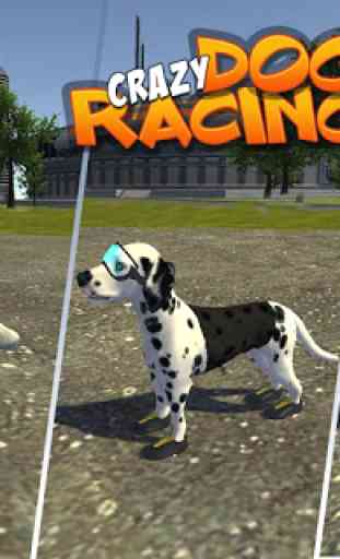 Crazy Dog Racing 2
