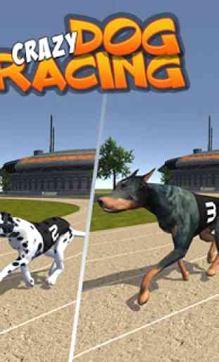 Crazy Dog Racing 3