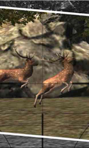 Deer Hunting - 