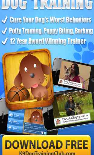 Dog Training Club 1