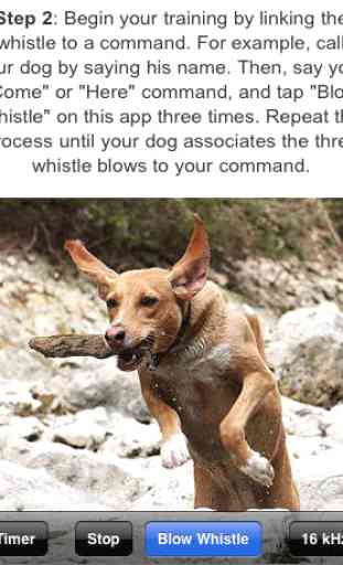 Dog Whistle Elite (Training Guide + Clicker included) 4