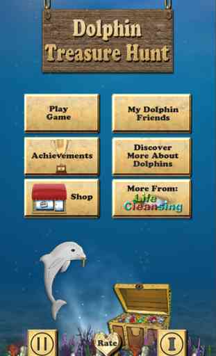 Dolphin Treasure Hunt 1