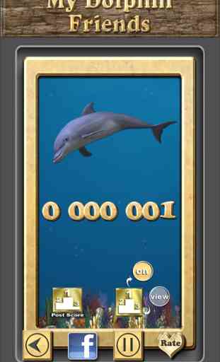 Dolphin Treasure Hunt 4