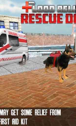 Flood Relief Rescue Dog 3