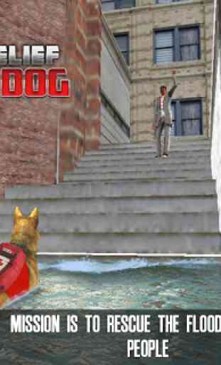 Flood Relief Rescue Dog 4