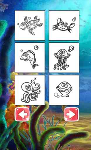 E-Book Ocean Coloring-Paint Aquatic Animals Pages 2