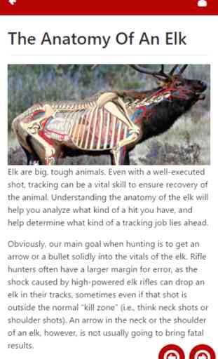 Elk101 3