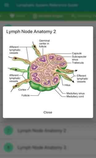 Lymphatic System Reference 3