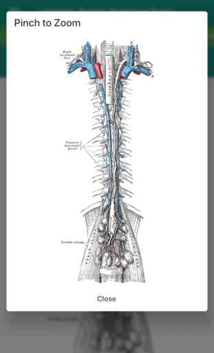 Lymphatic System Reference 4