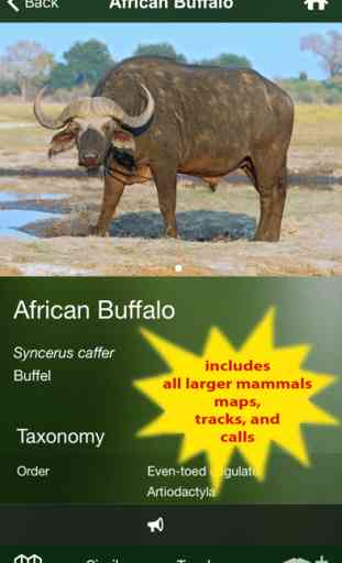 Mammal Guide of Southern Africa 2