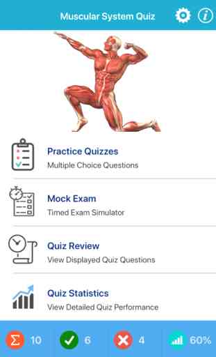 Muscular System Quizzes 1