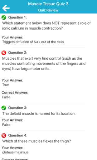Muscular System Quizzes 4