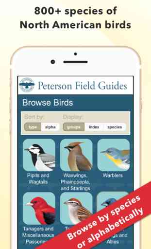 Peterson Bird Field Guide 1