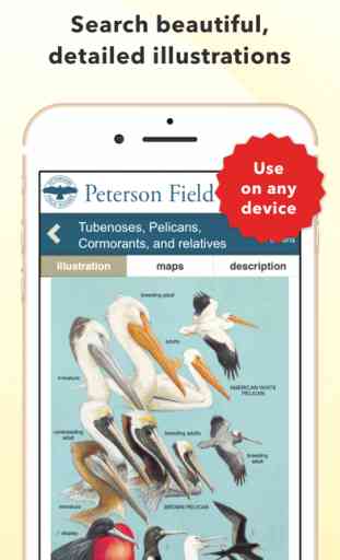 Peterson Bird Field Guide 2