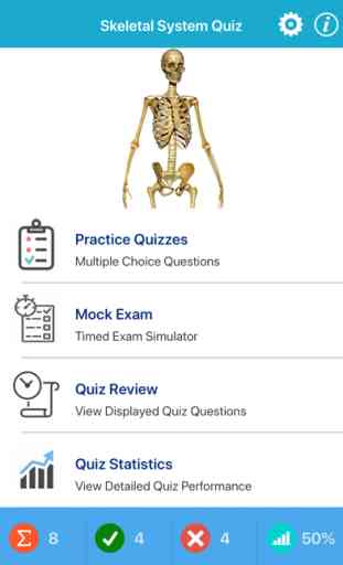 Skeletal System Quizzes 1