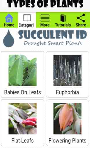 SucculentID 2
