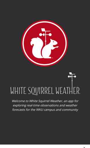 White Squirrel Weather 1