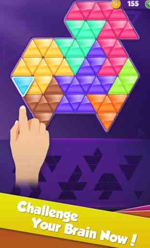 Block! Triangle puzzle:Tangram 4