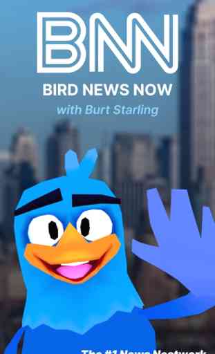 BNN — Bird News Now 1