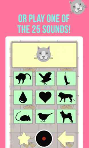 Crazy Cat Translator & Sounds 2