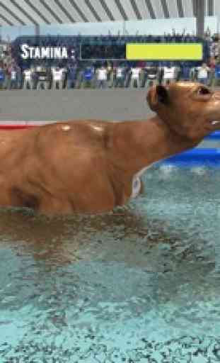 Dog Swimming Race 2