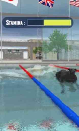 Dog Swimming Race 4
