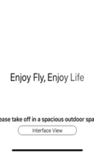 Enjoy-Fly 1
